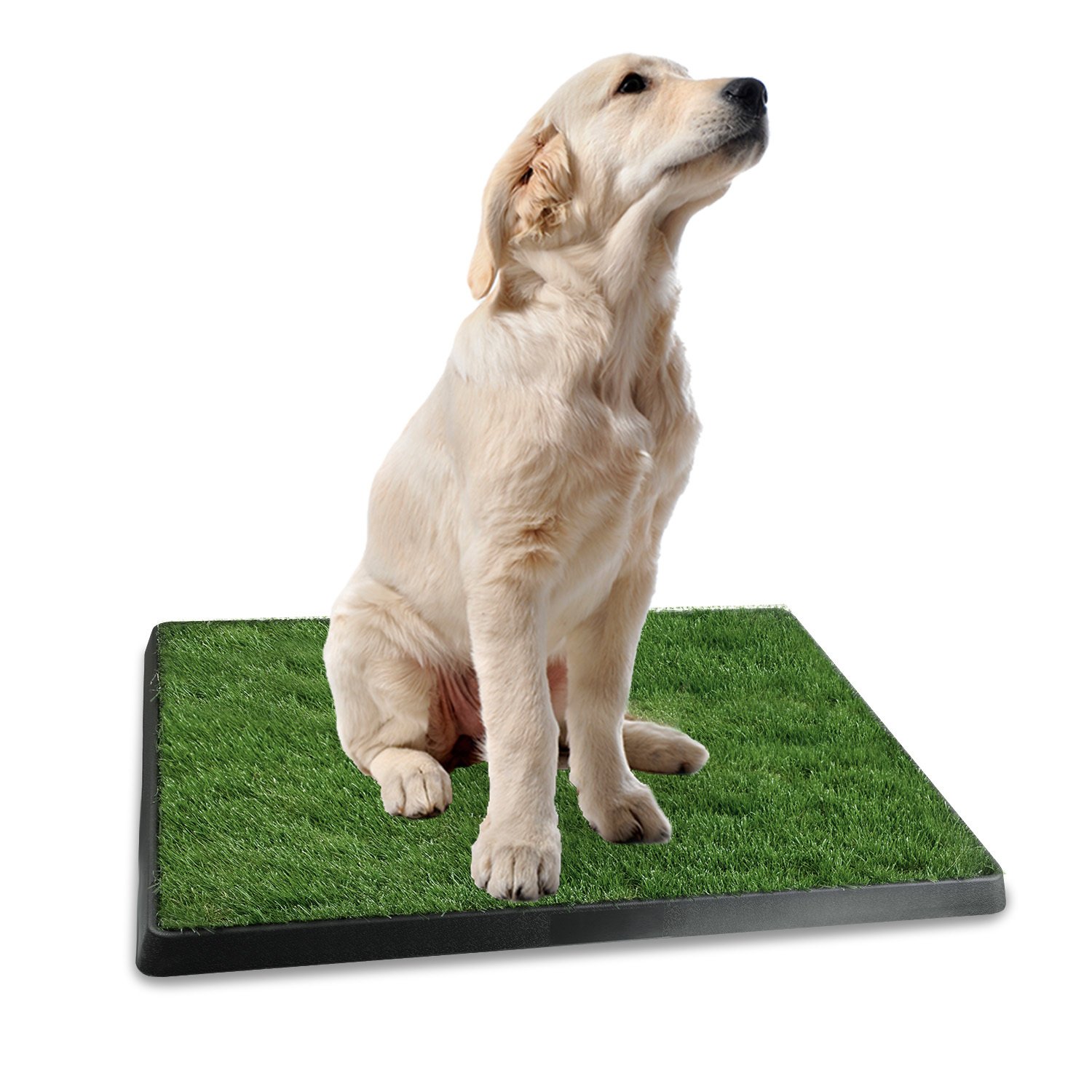 Dog Training Grass Pad for Indoor & Outdoor Use - Image 3