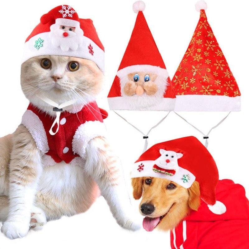 Christmas Pet Gifts for All Dog Sizes