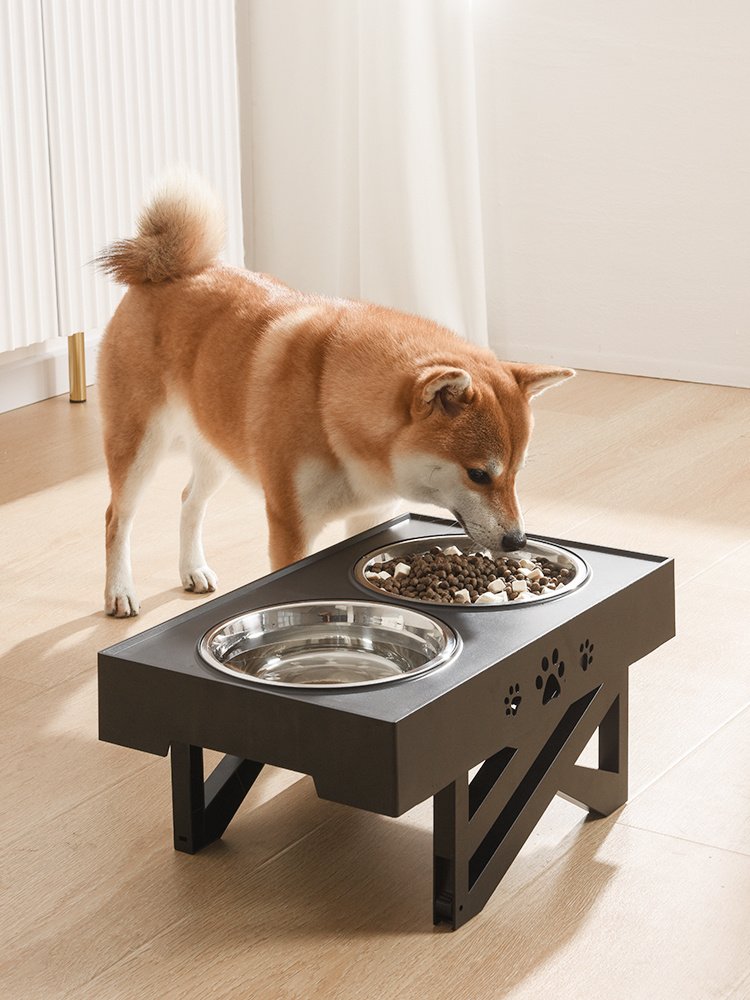 Stainless Steel Folding Pet Feeder Bowl