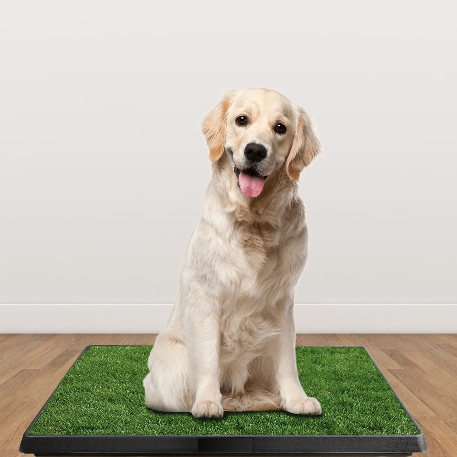 Dog Training Grass Pad for Indoor & Outdoor Use - Image 7
