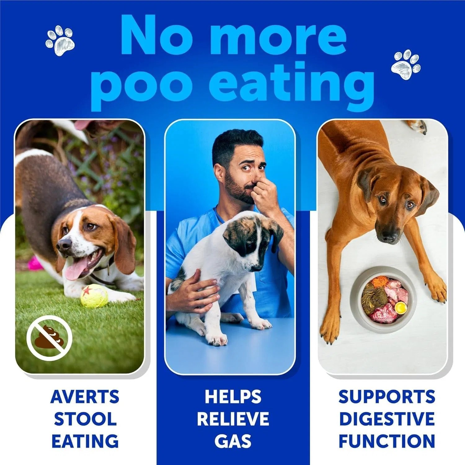 No Poo Chews for Dogs Stop Poop Eating - Image 2