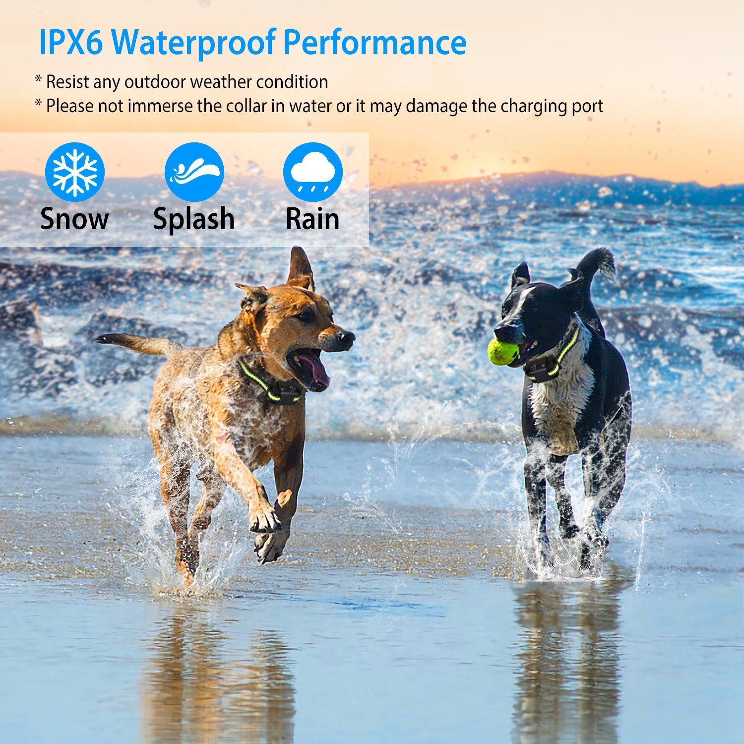 Rechargeable Waterproof Bark Control Collar - Image 7