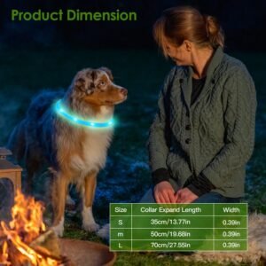 USB LED Dog Collar – Rechargeable & Safe