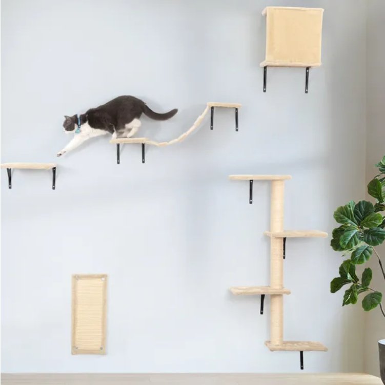 5 Pcs Wall Mounted Cat Climber Set
