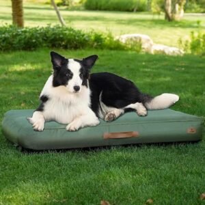 Inflatable Waterproof Outdoor Dog Travel Bed