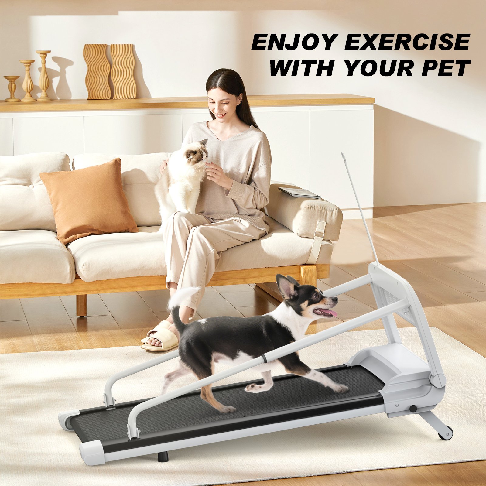 Smart Quiet Pet Treadmill 2025 - Image 3