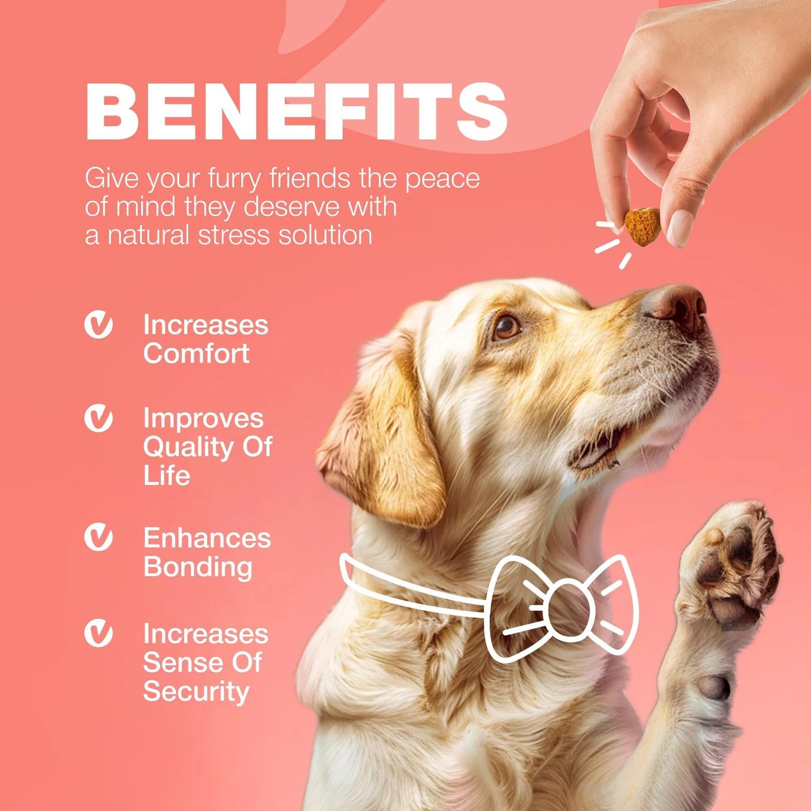Natural Dog Flea and Tick Treatment Chews - Image 9