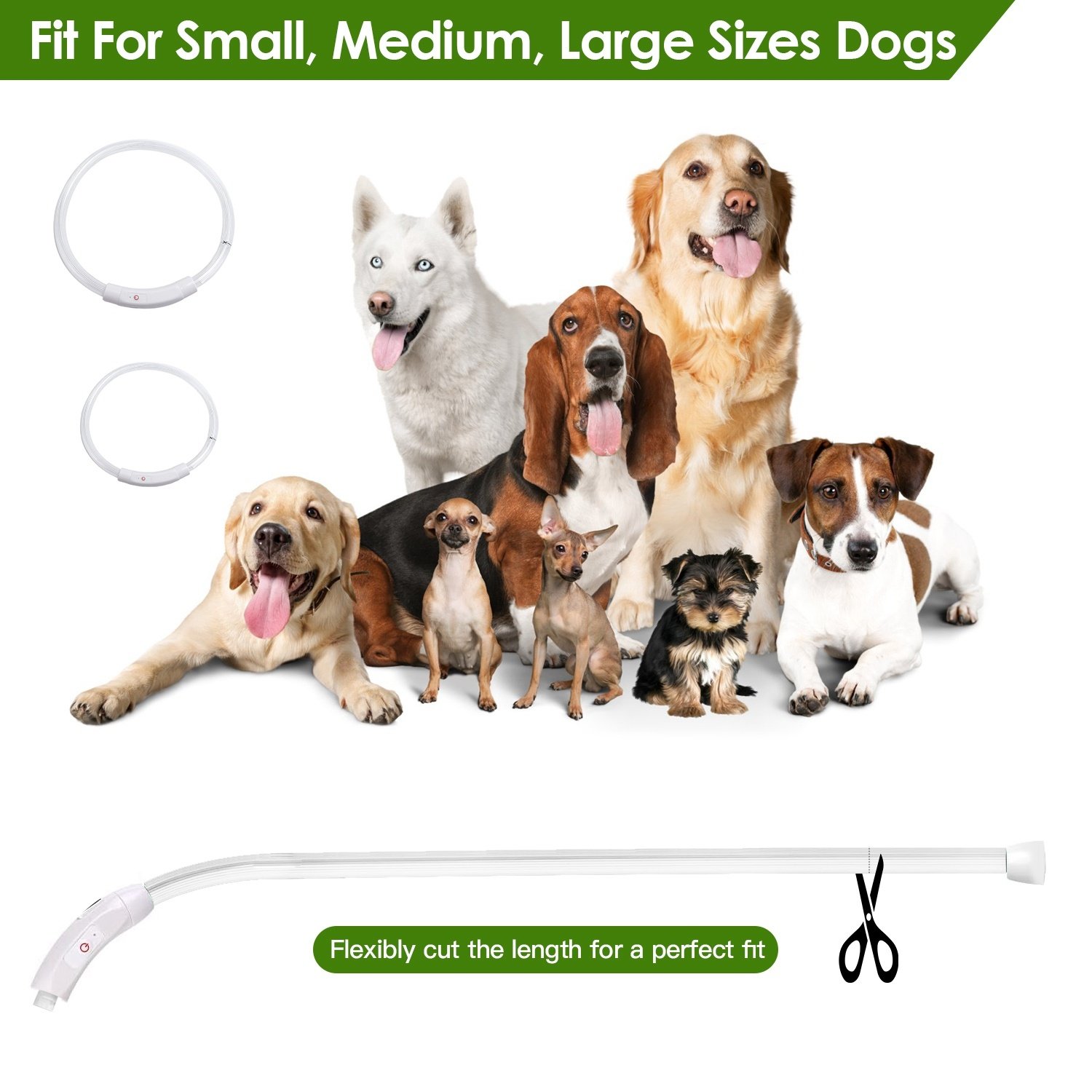 USB LED Dog Collar – Rechargeable & Safe - Image 3