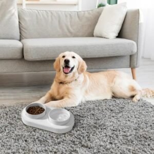 Ceramic Heated Water Bowl for Dogs & Cats