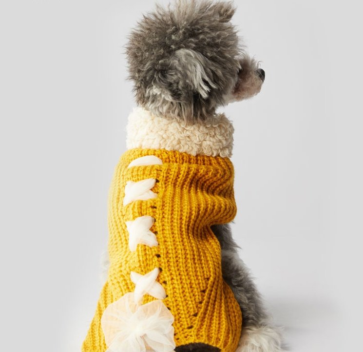 Warm Autumn Winter Bowknot Pet Clothes