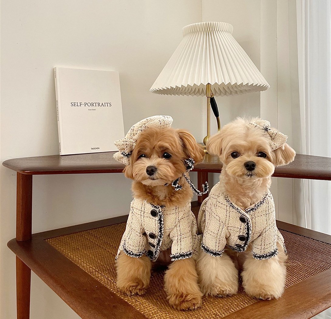 Cute Princess Skirt for Cats & Dogs