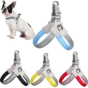 No-Pull Adjustable Pet Harness with Leash Set
