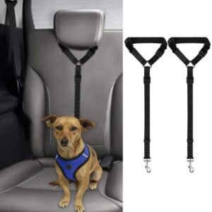 Durable Two-Piece Dog Leash Set for Travel