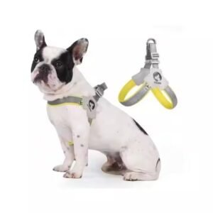 Adjustable Reflective Pet Harness with Leash Set