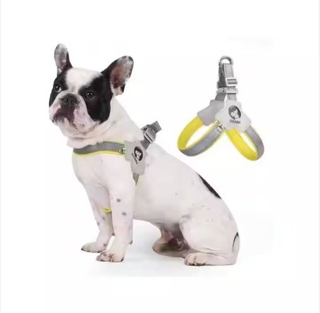 Adjustable Reflective Pet Harness with Leash Set