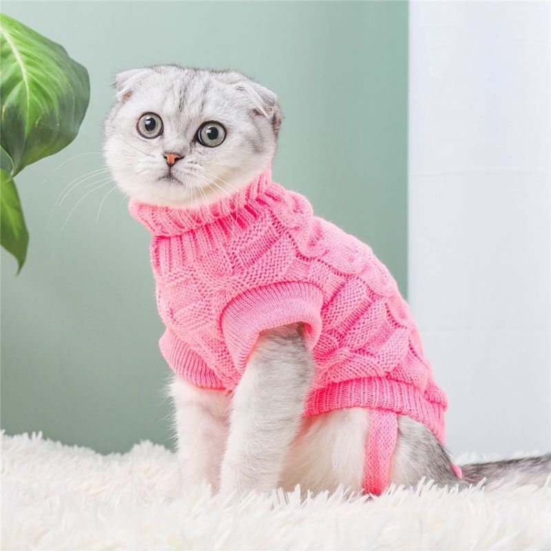 Cute Knitted Cat Sweater for Autumn & Winter