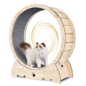 Indoor Cat Exercise Wheel with Carpeted Track