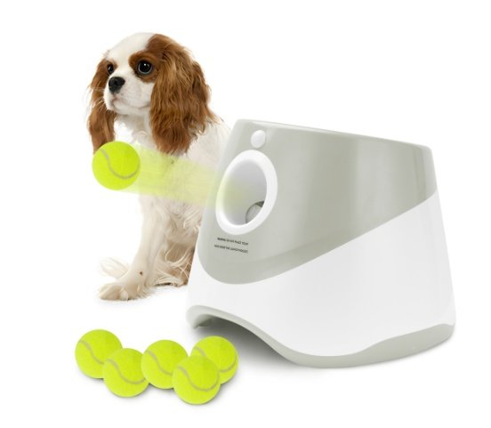 Automatic Dog Ball Launcher with 6 Mini Balls Toy