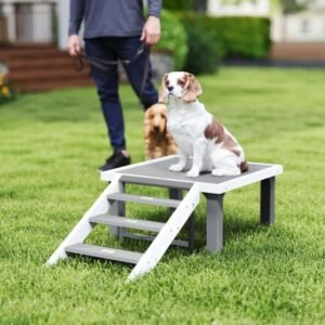 Wooden Dog Training Platform With Ladder System