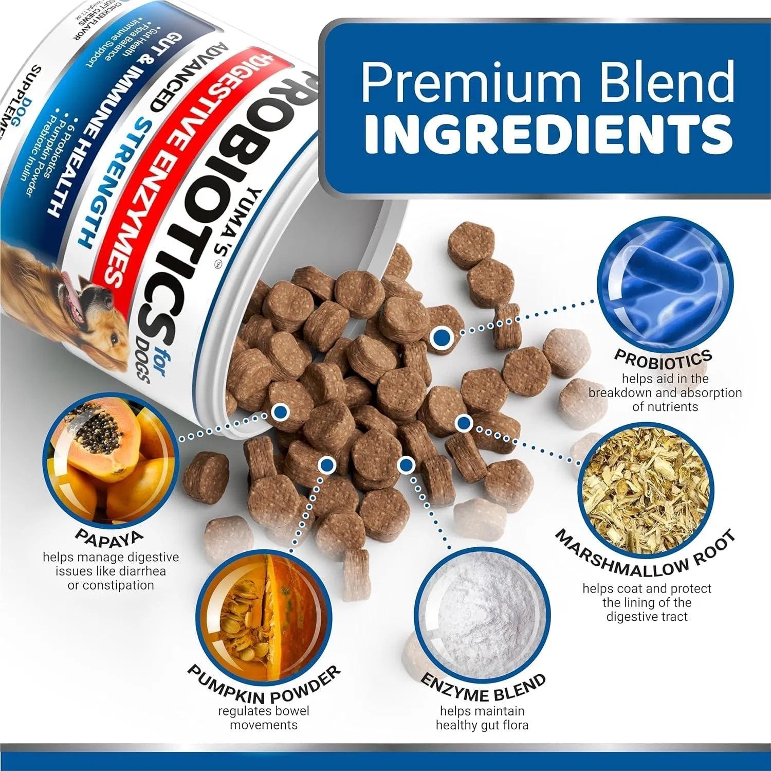 Dog Probiotics & Digestive Enzymes - Image 5