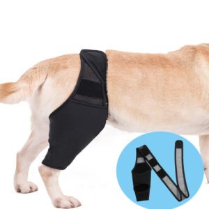 Dog Knee Pads for Joint Recovery Support